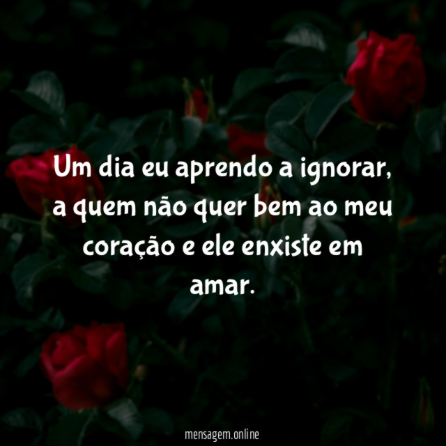 Um dia eu aprendo a ignorar