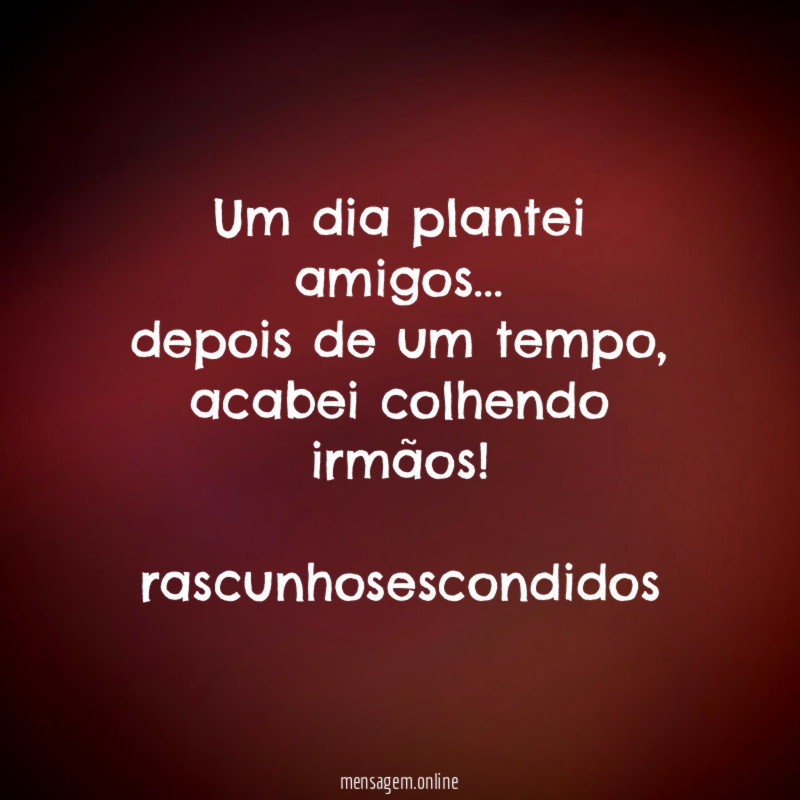 Um dia plantei amigos… depois de um tempo, acabei colhendo irmãos!