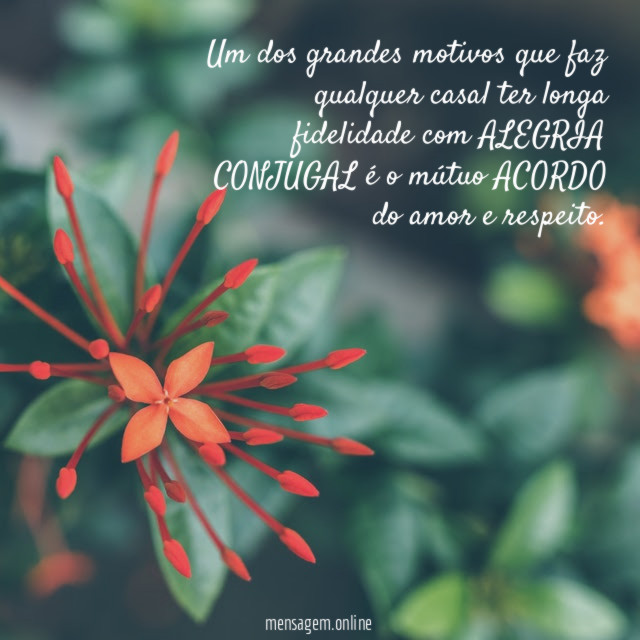 Um dos grandes motivos que faz qualquer casal