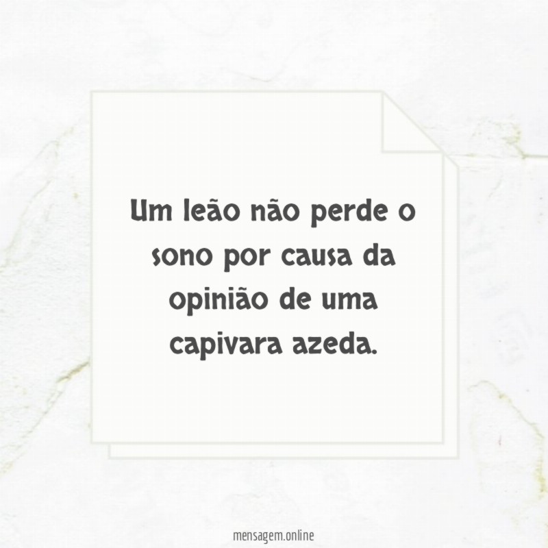 Um leão não perde o sono