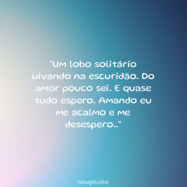 'Um lobo solitário uivando na escuridão