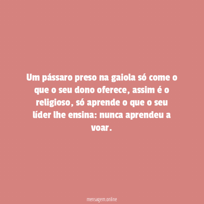 Um pássaro preso na gaiola só come