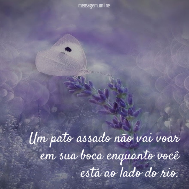 Um pato assado não vai voar em sua