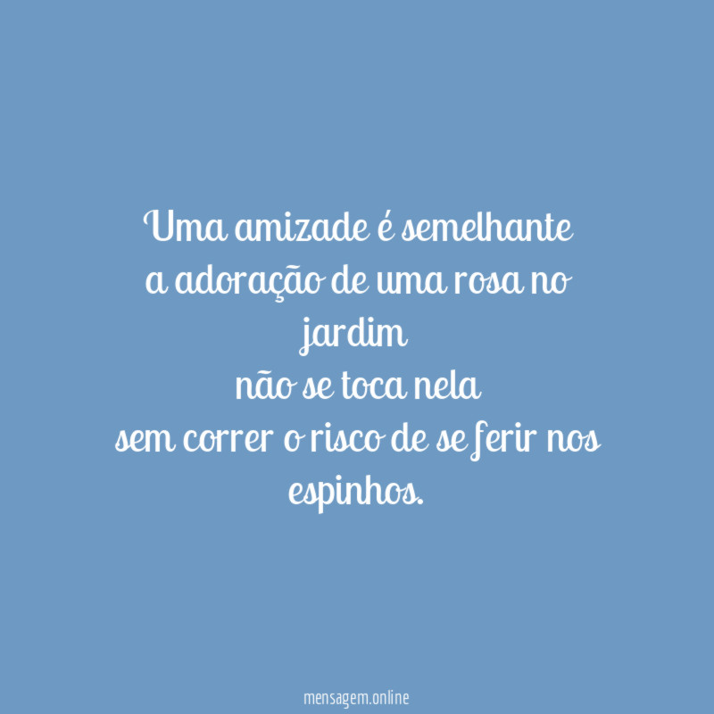 Uma amizade é semelhante a adoração de uma rosa