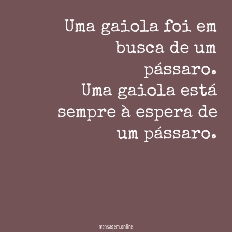 Uma gaiola foi em busca de um pássaro