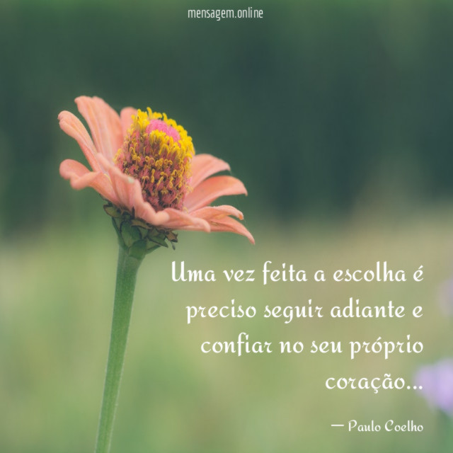 Uma vez feita a escolha é preciso seguir