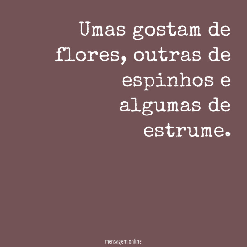 Umas gostam de flores