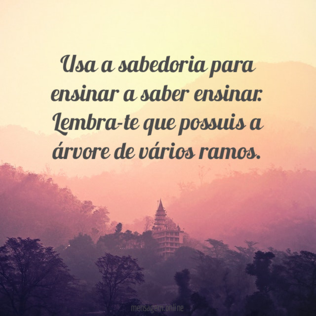 Usa a sabedoria para ensinar a saber ensinar