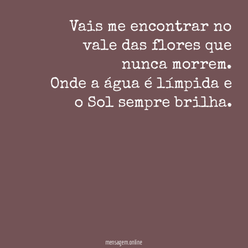 Vais me encontrar no vale das flores que nunca morrem