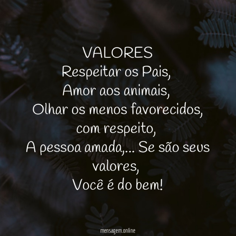 VALORES Respeitar os Pais