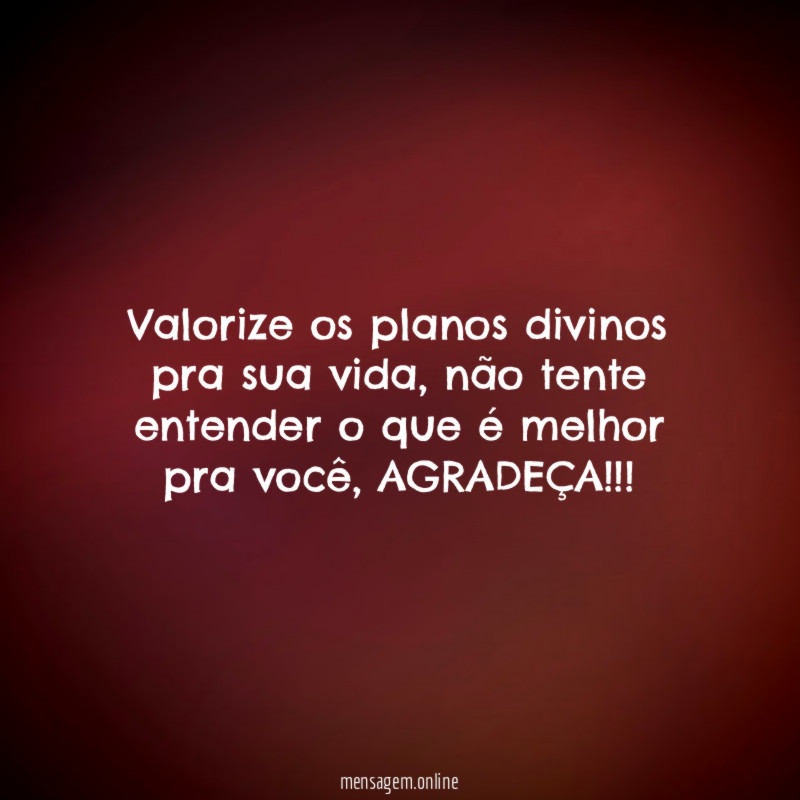 Valorize os planos divinos pra sua vida