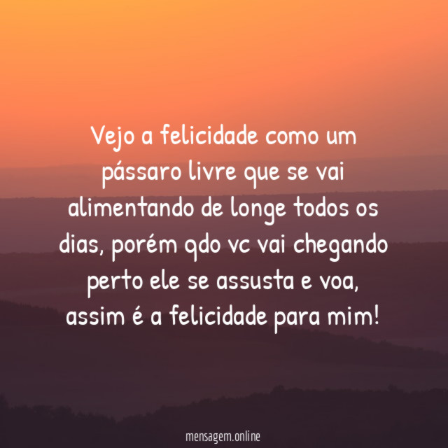Vejo a felicidade como um pássaro livre que