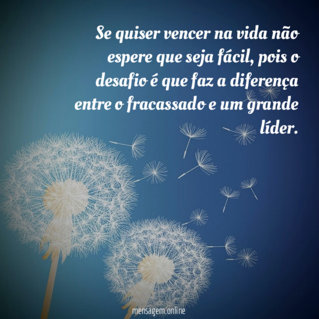 Vencer na vida