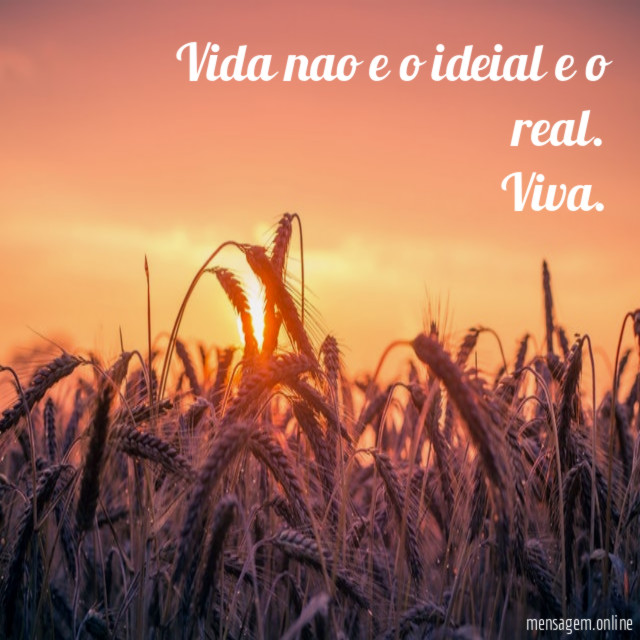 Vida nao e o ideial e o real