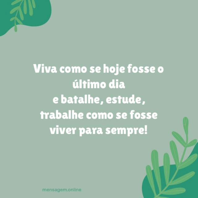 Viva como se hoje fosse o último dia e batalhe
