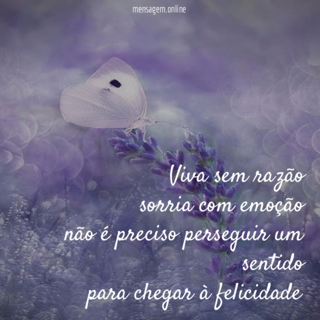 Viva sem razão sorria com emoção não é preciso perseguir