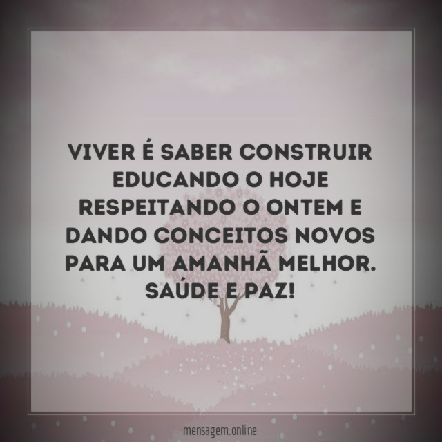 Viver é saber construir educando o hoje respeitando