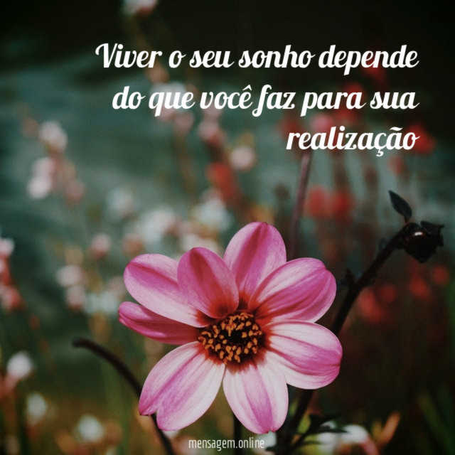 Viver o seu sonho depende do que você faz