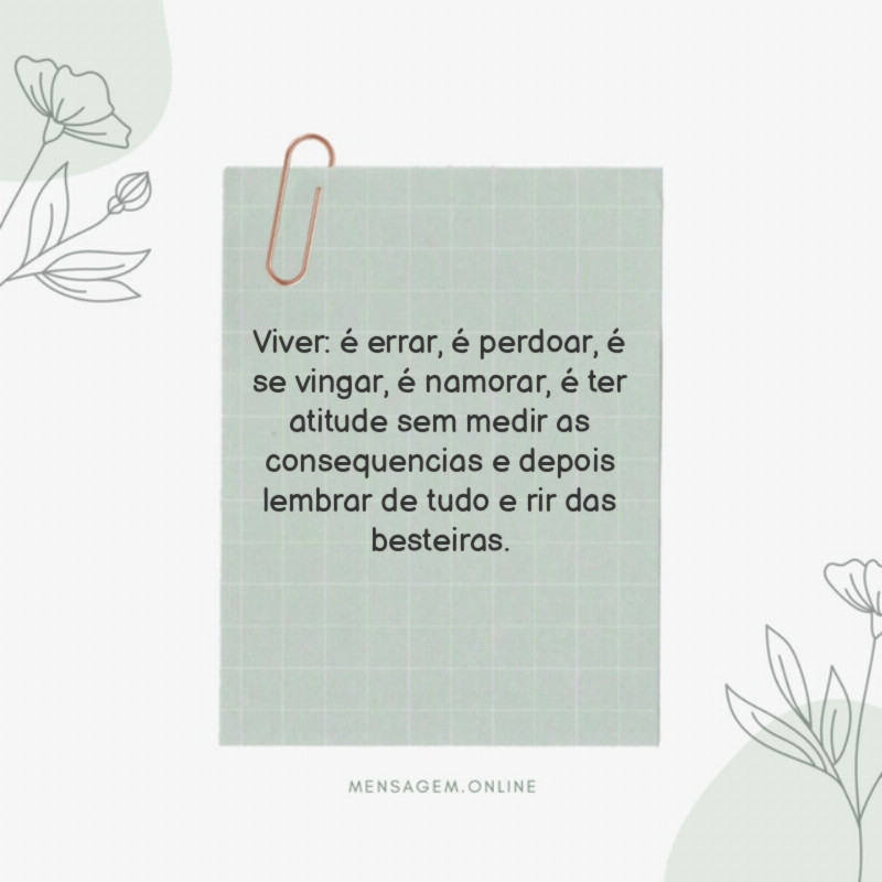 Viver