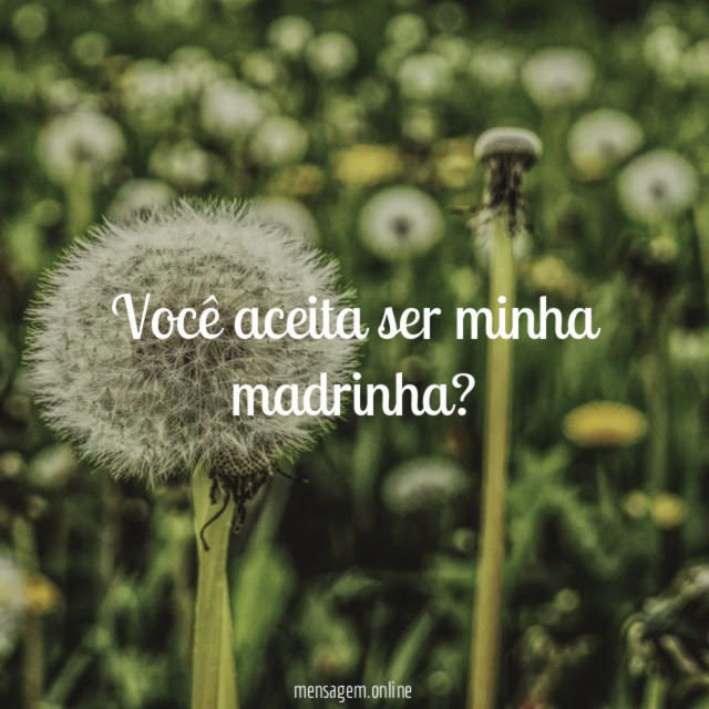 Você aceita ser minha madrinha?