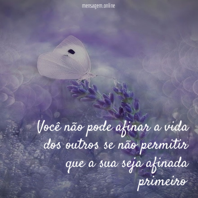 Você não pode afinar a vida dos outros