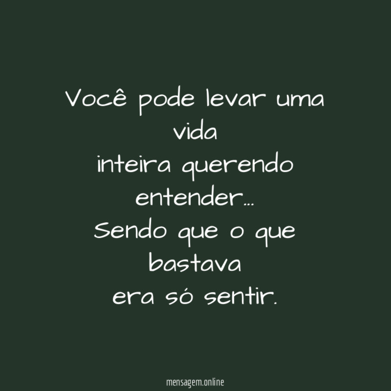 Você pode levar uma vida inteira querendo entender
