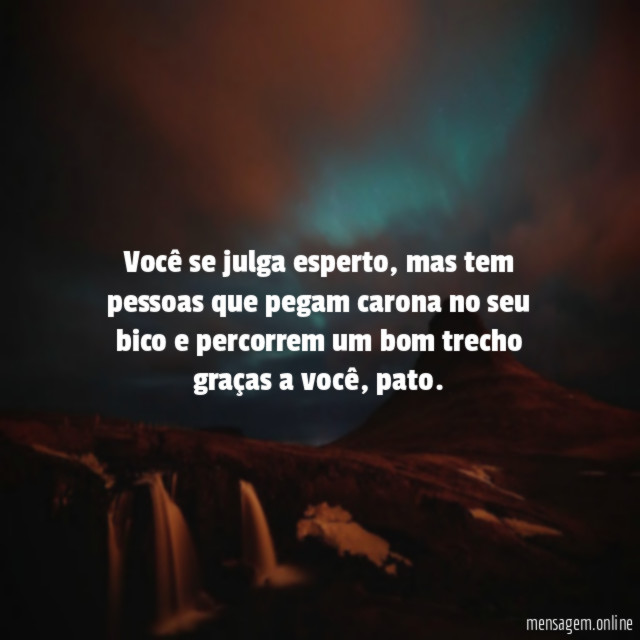 Você se julga esperto