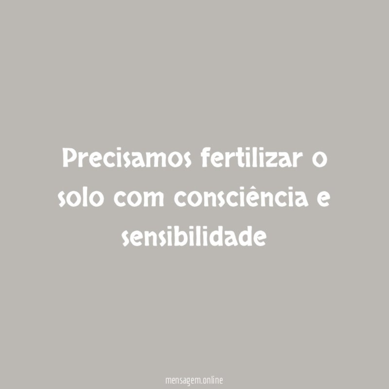 Precisamos fertilizar o solo com consciência e sensibilidade"