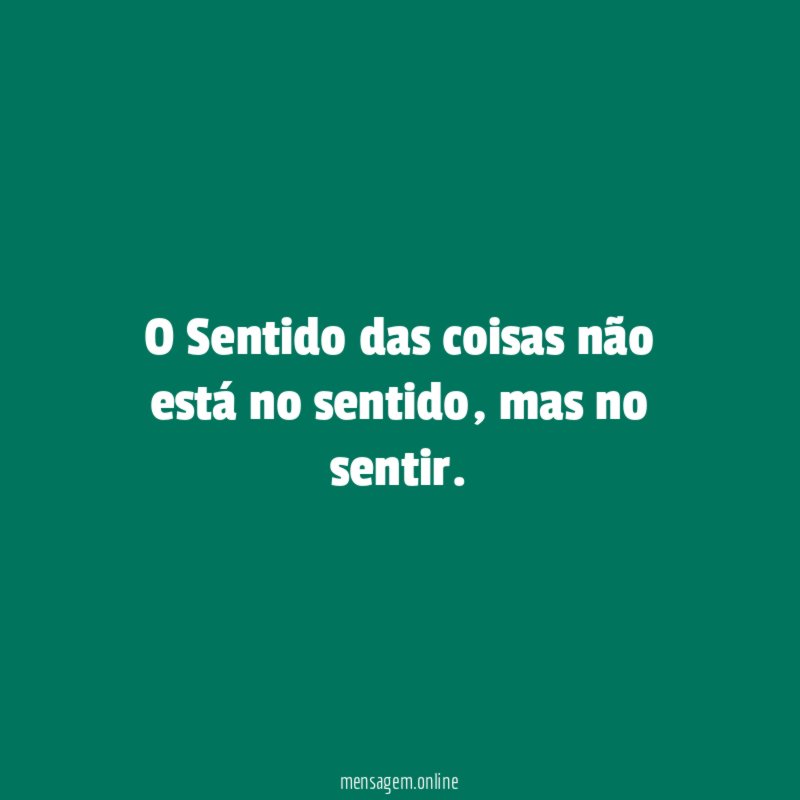 O Sentido das coisas não está no sentido