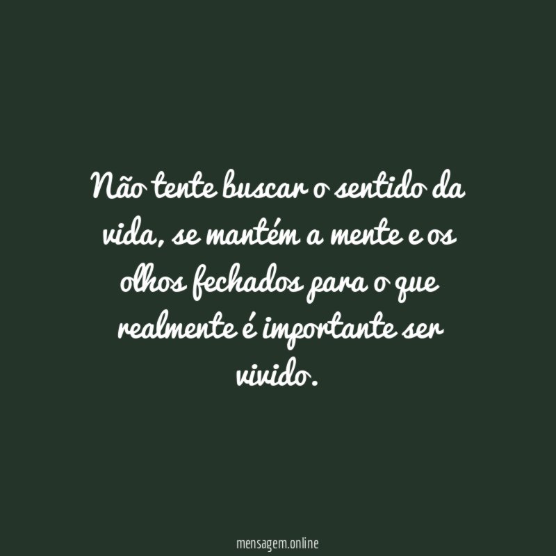 Não tente buscar o sentido da vida