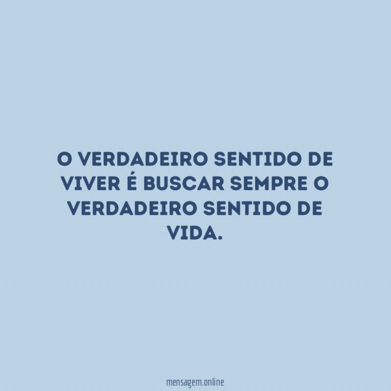 O verdadeiro sentido de viver é buscar sempre o verdadeiro sentido de vida