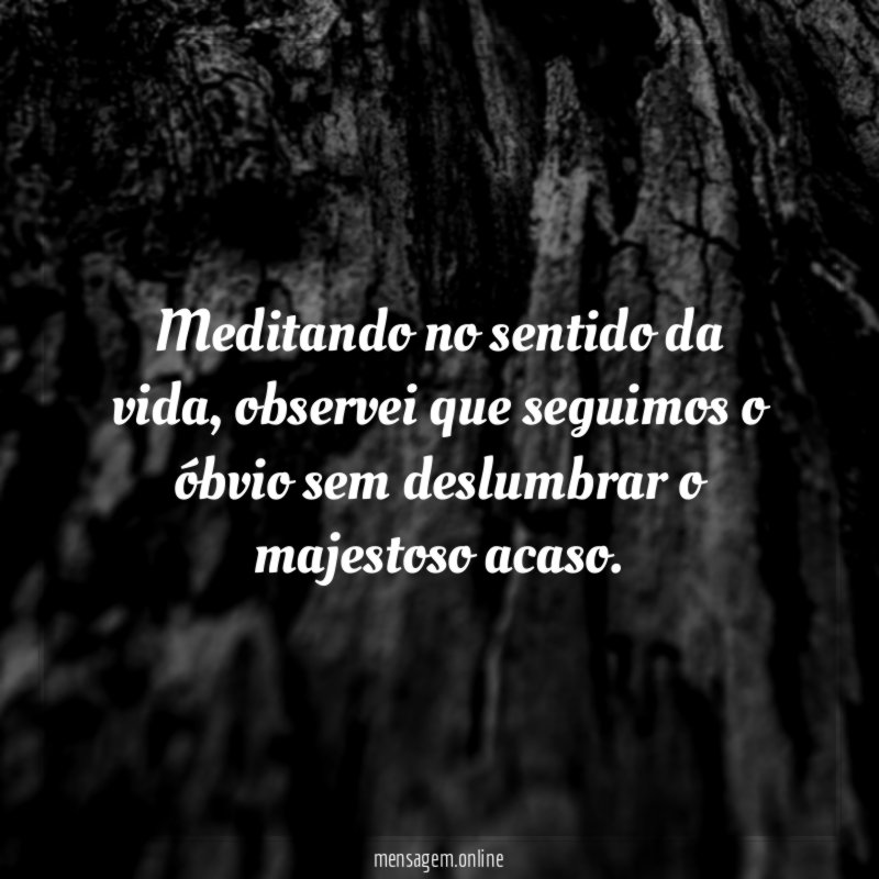 Meditando no sentido da vida
