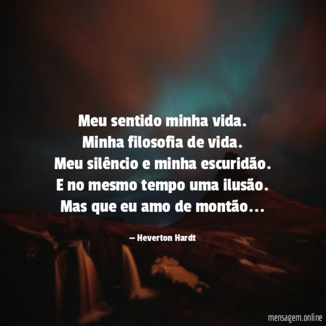 Meu sentido minha vida