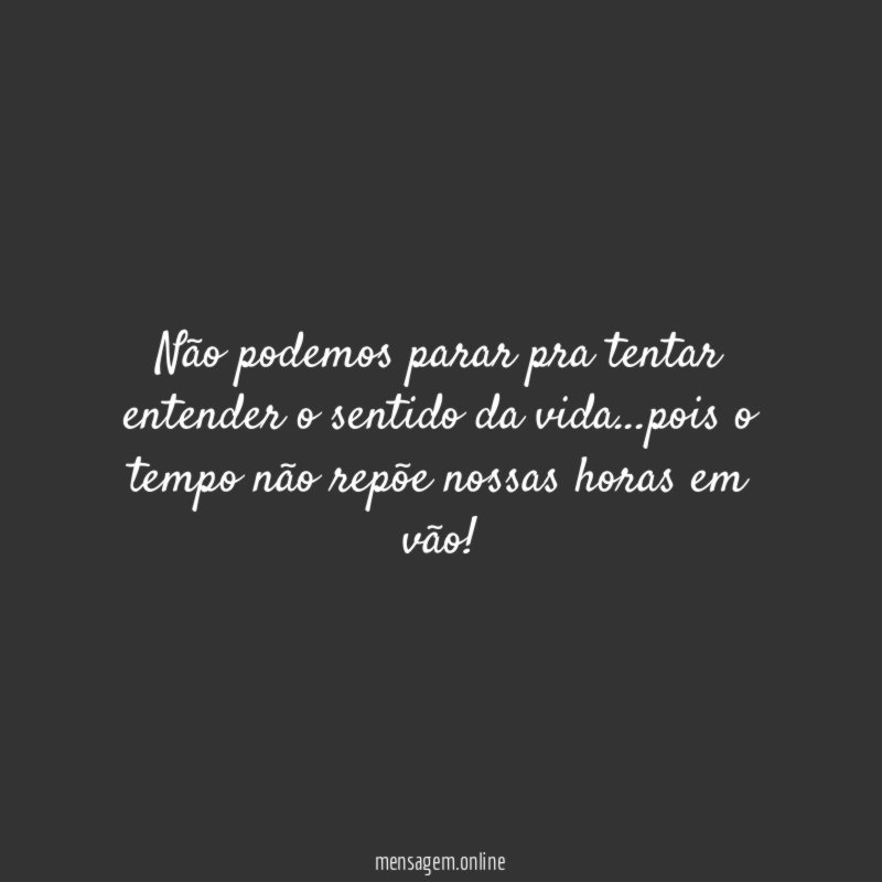 Não podemos parar pra tentar entender o sentido da vida