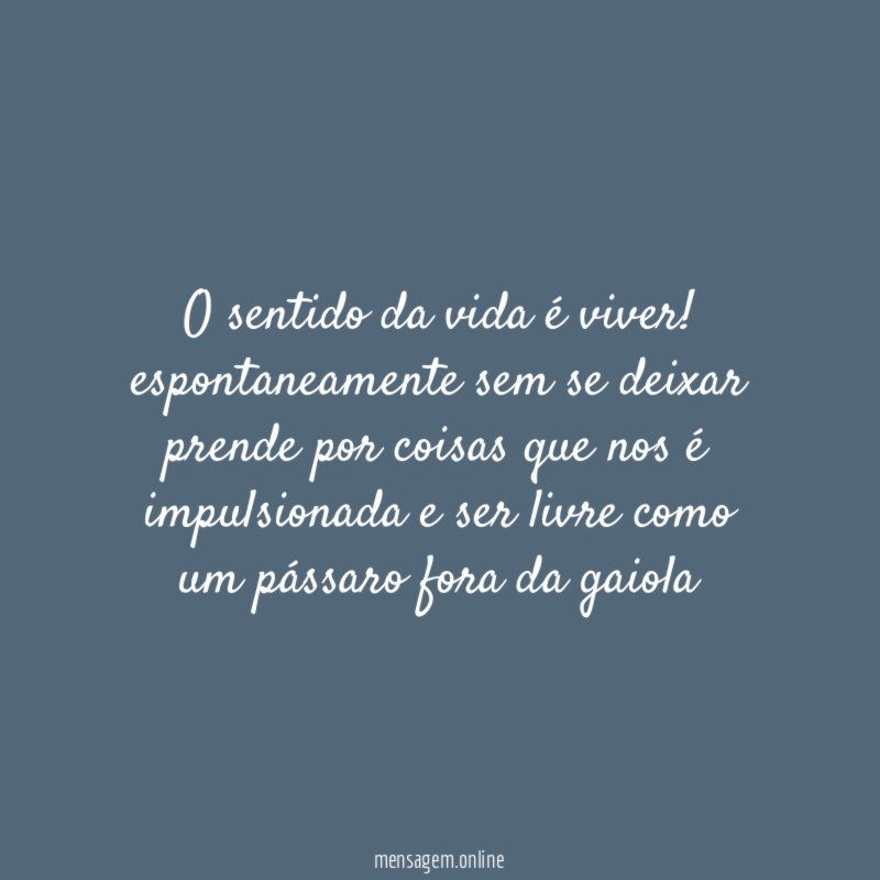 o sentido da vida é viver