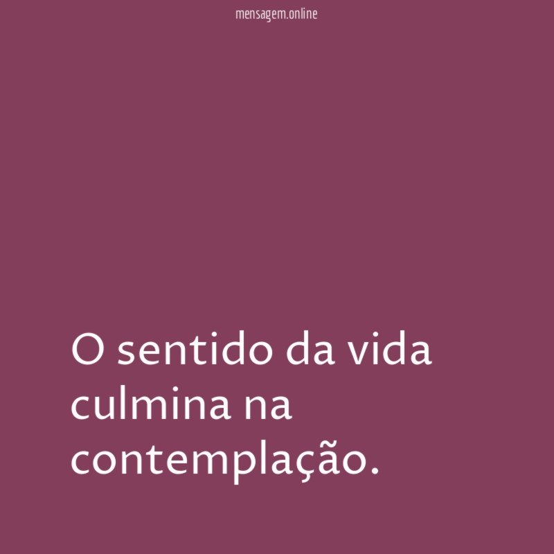 O sentido da vida culmina na contemplação
