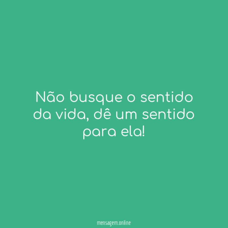 Não busque o sentido da vida