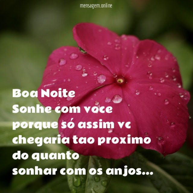 Boa Noite Sonhe com voce porque só assim vc chegaria