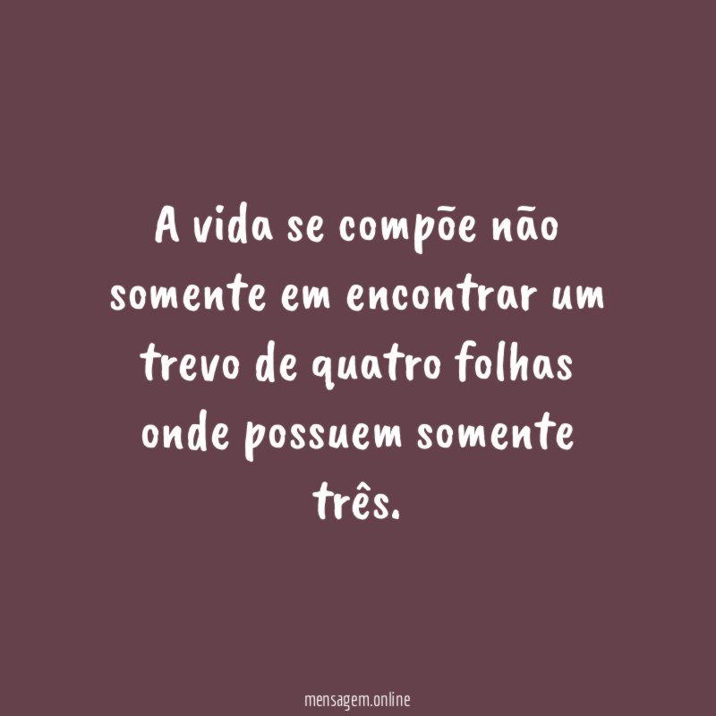 A vida se compõe não somente em encontrar