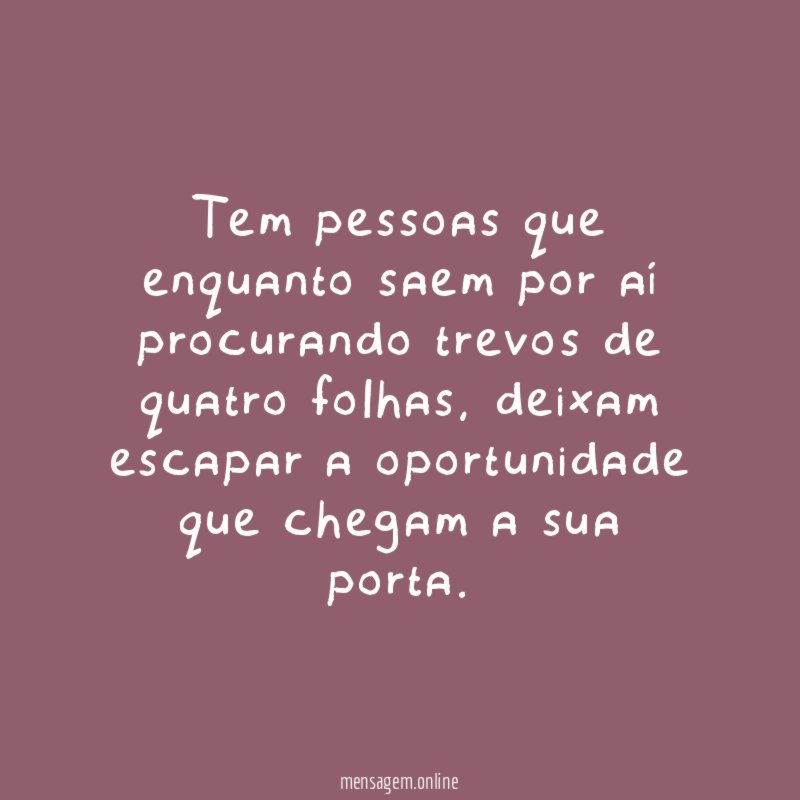 Tem pessoas que enquanto saem por aí procurando trevos de quatro folhas