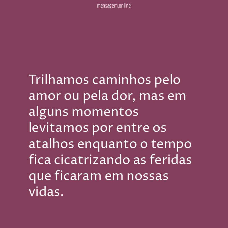 Trilhamos caminhos pelo amor ou pela dor