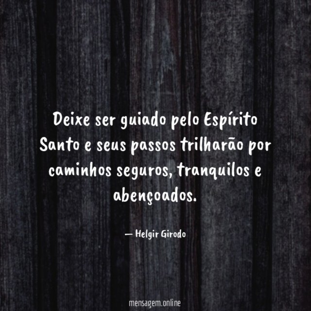 Deixe ser guiado pelo Espírito Santo e seus