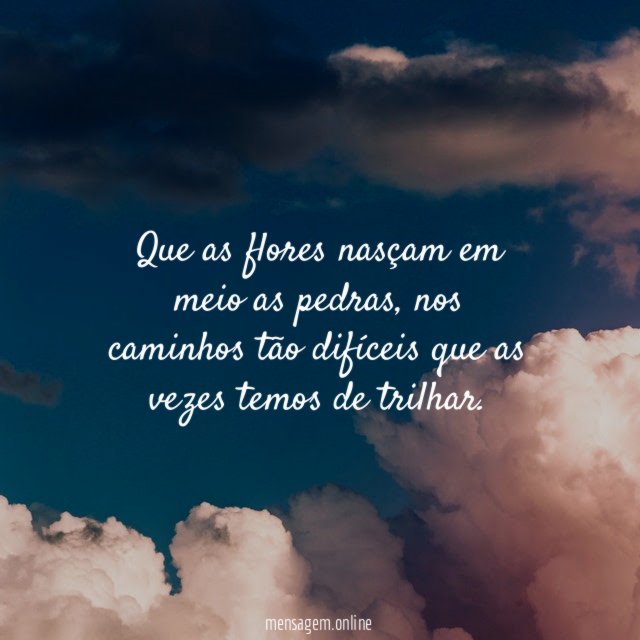 Que as flores nasçam em meio as pedras