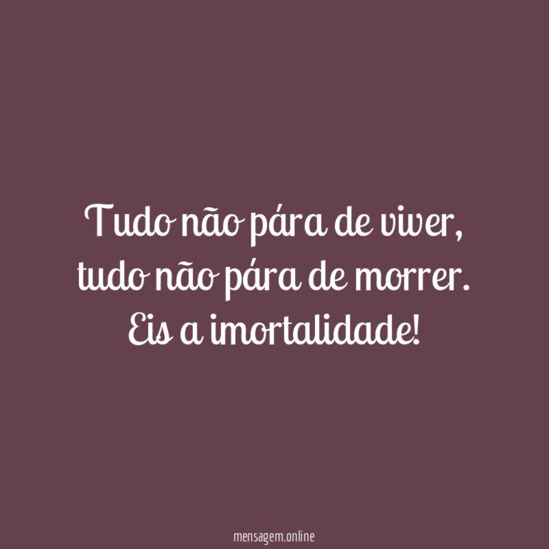 Tudo não pára de viver