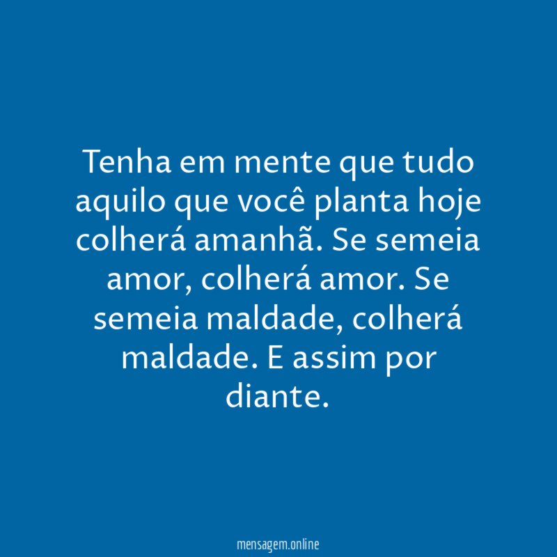 Tenha em mente que tudo aquilo que você planta hoje colherá amanhã
