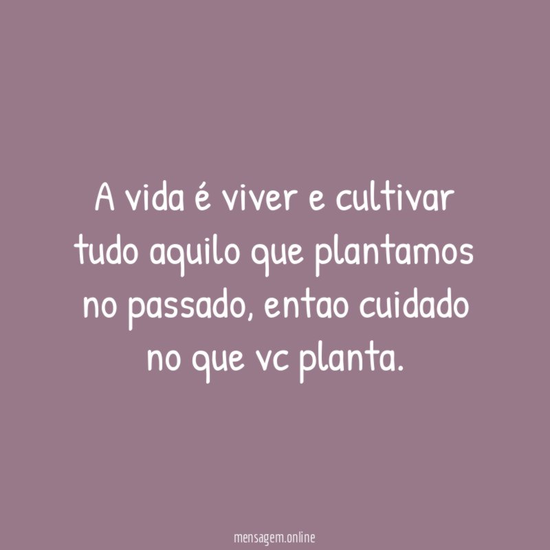 A vida é viver e cultivar tudo aquilo que plantamos no passado