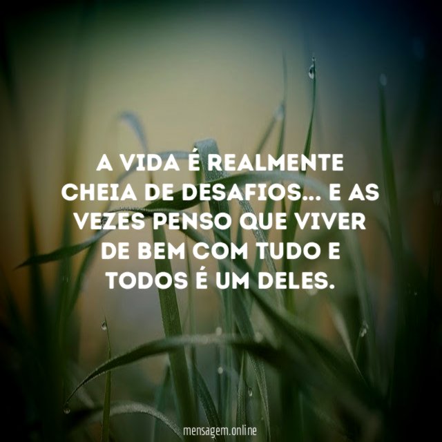 A vida é realmente cheia de desafios