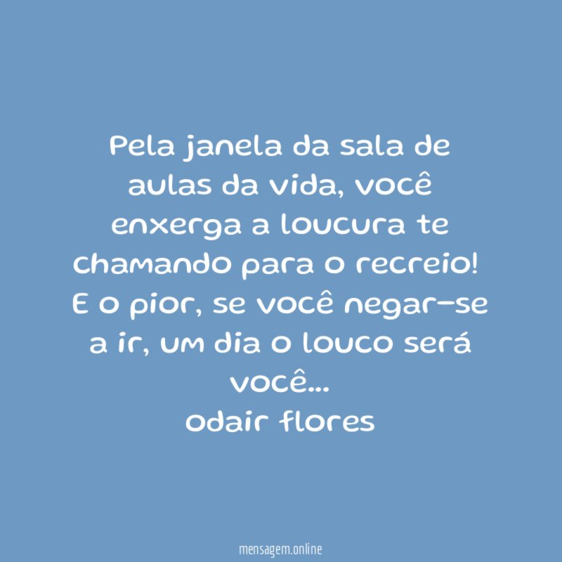 Pela janela da sala de aulas da vida