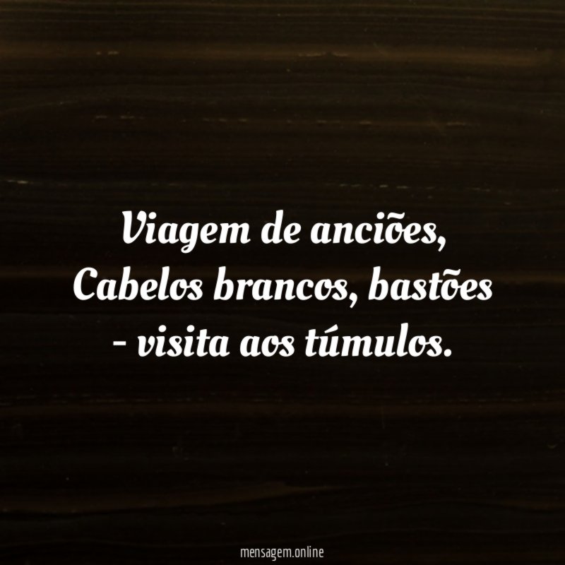 Viagem de anciões