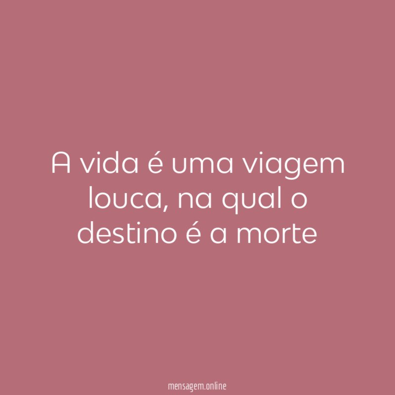 A vida é uma viagem louca
